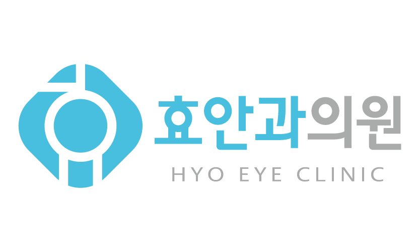 대전 효안과